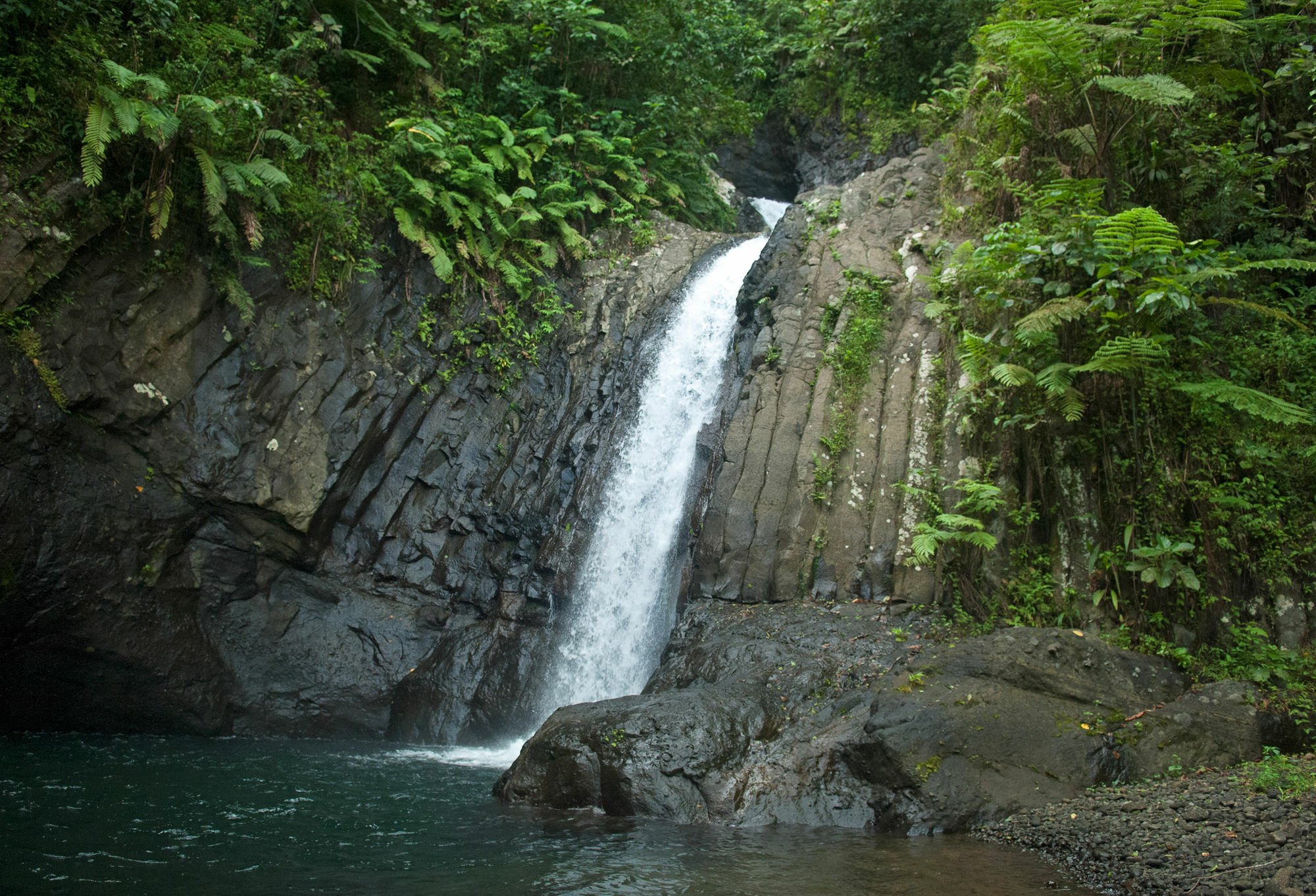 Emaho Sekawa Resort Savusavu Dış mekan fotoğraf